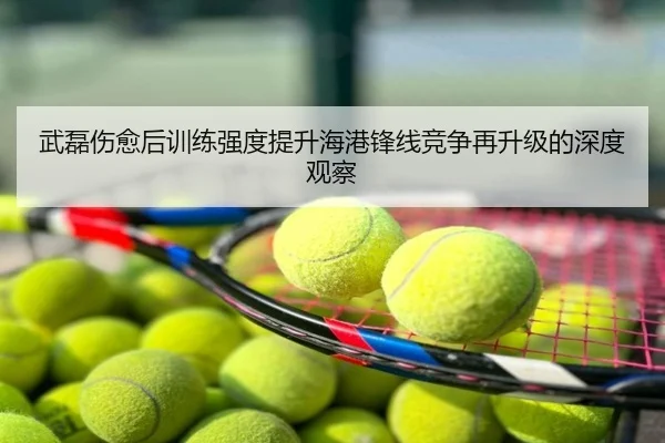 武磊伤愈后训练强度提升海港锋线竞争再升级的深度观察