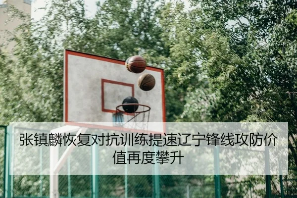 张镇麟恢复对抗训练提速辽宁锋线攻防价值再度攀升