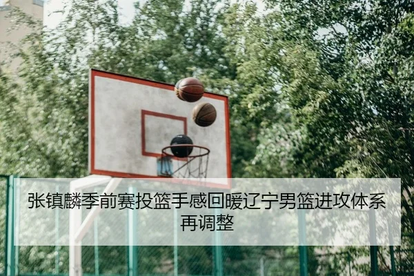 张镇麟季前赛投篮手感回暖辽宁男篮进攻体系再调整