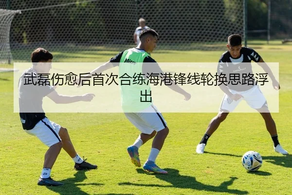 武磊伤愈后首次合练海港锋线轮换思路浮出