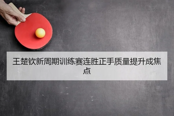 王楚钦新周期训练赛连胜正手质量提升成焦点